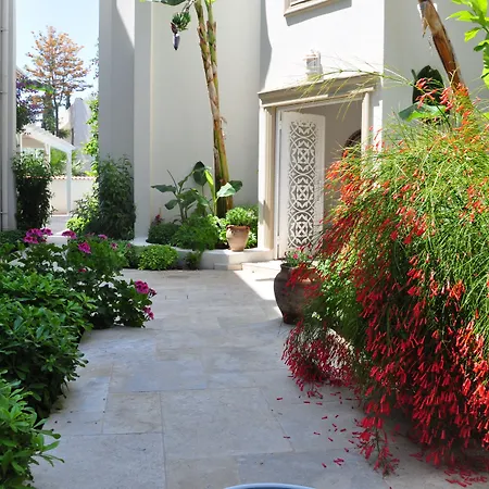 Olivias Group Hotel-3