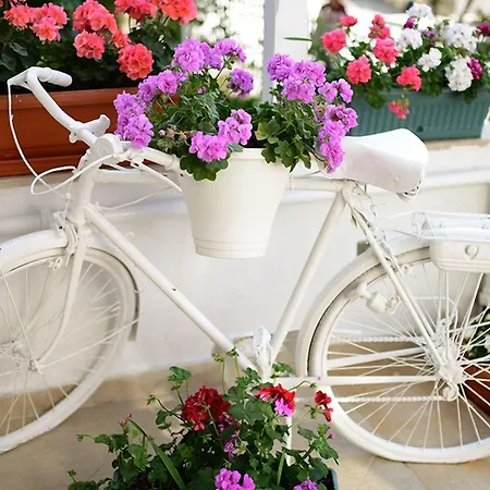 White Palace Otel-2