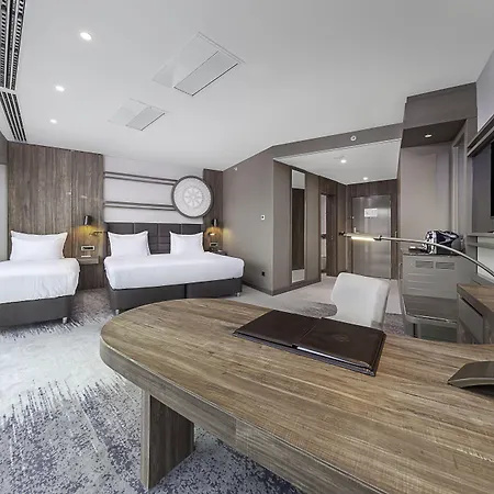 Dedeman Tokat-2