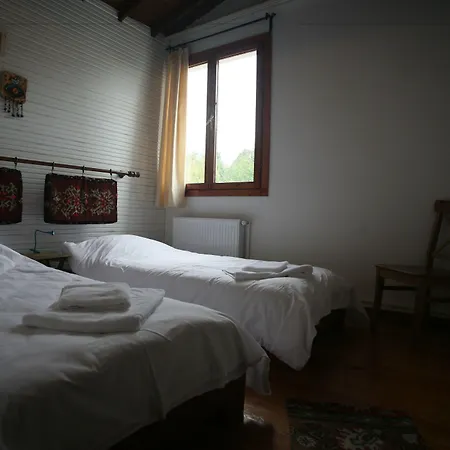 Beta Home Sapanca-3