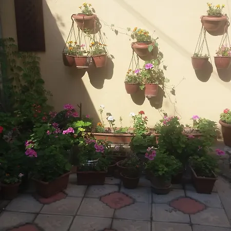 Sari Konak Garden Otel Safranbolu-3