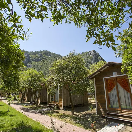 Likya Evleri Olympos-3