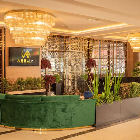 Aselia Hotel Trabzon-3