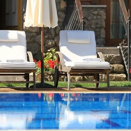 The Olive Tree Studios (Adults Only)-2