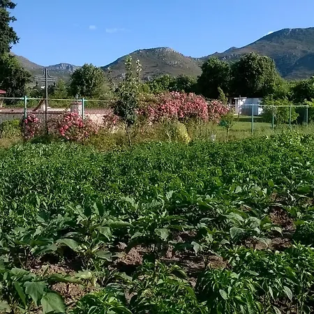 Villa Mercan-3