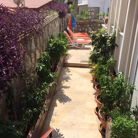 Villa Dream Apart Hotel-3