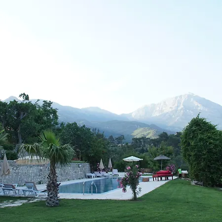 Lycia Nature House-2