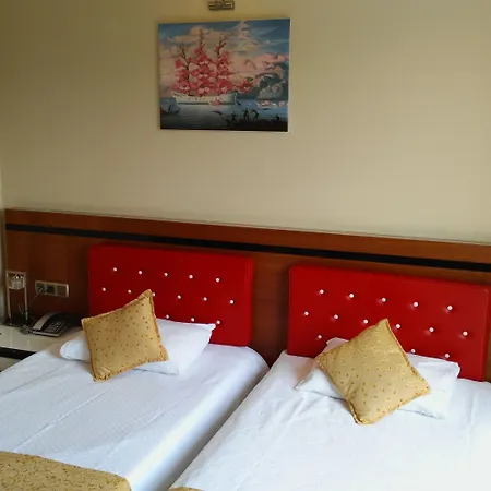 Eriza Hotel-2