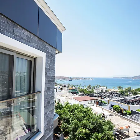 M2 Otel-3