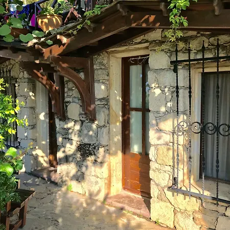 Ada Bacchus Hotel-2