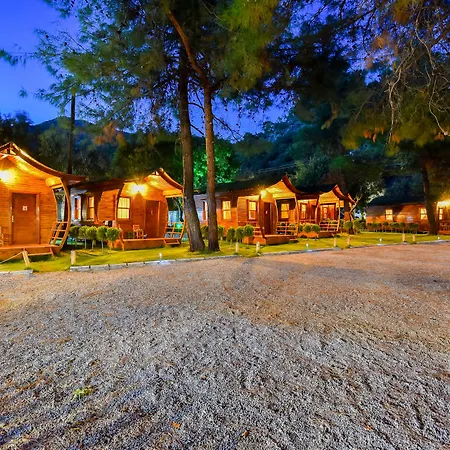 Green Pine Beach & Bungallows-3
