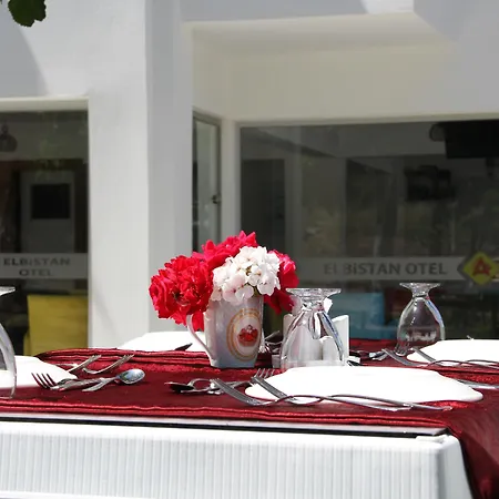 Aelbistan Otel-2
