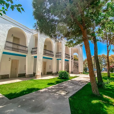 Club Muskebi-3