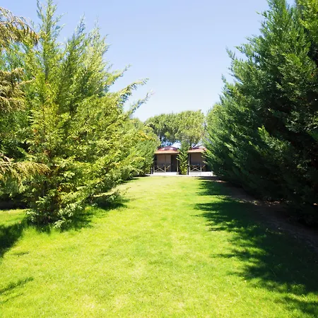 Aegean Apartments - Bungalows-3