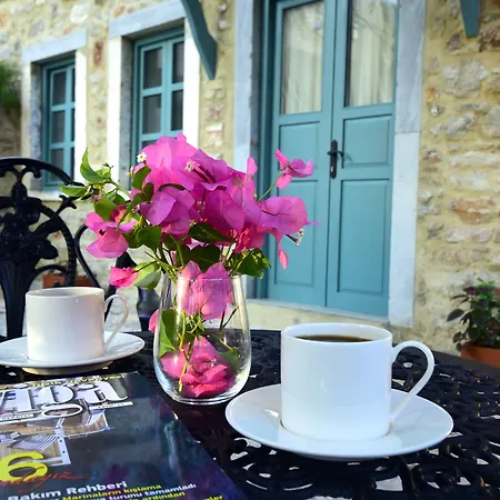 Oalis Boutique Hotel-2