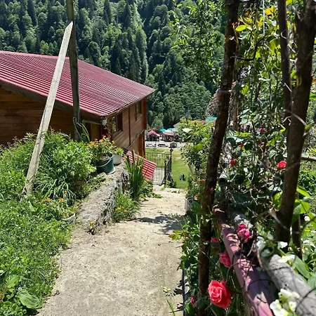 Ayder Yardimci Apart-2