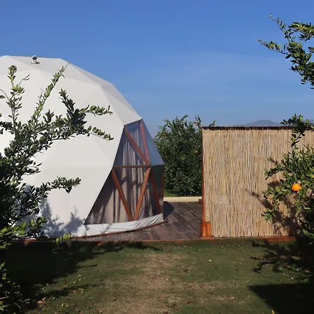 Mandalin Glamping-2