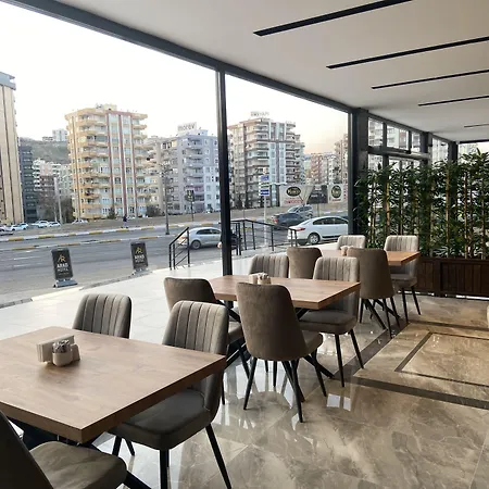 Arad Otel-3