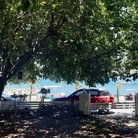 Dut Selimiye-2