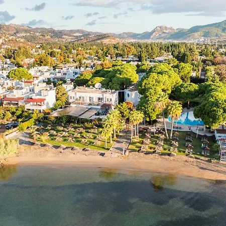 Bodrum Seaside Beach Club-3