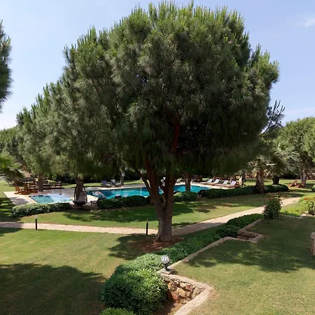 Casa Elia Datca-3
