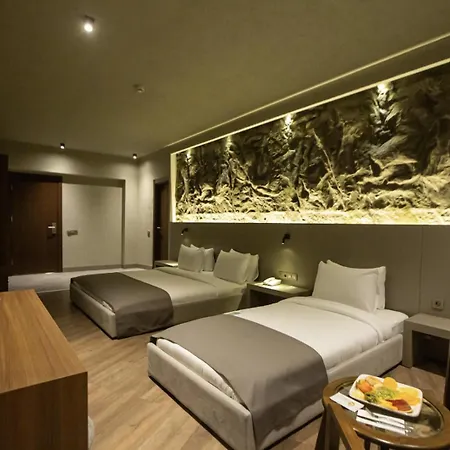 The Erzurum Hotel-2