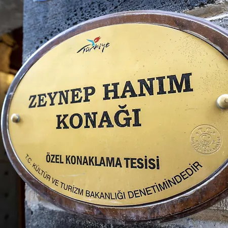Zeynep Hanim Konagi-3