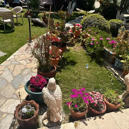 Bonjourla Otel-2