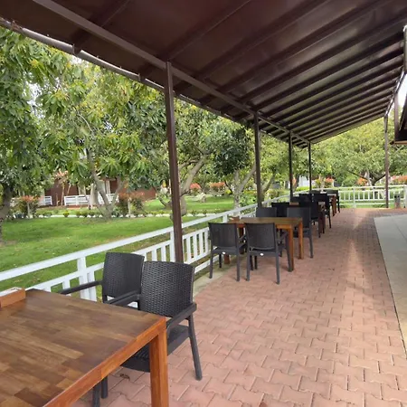 Apella Hotel-2