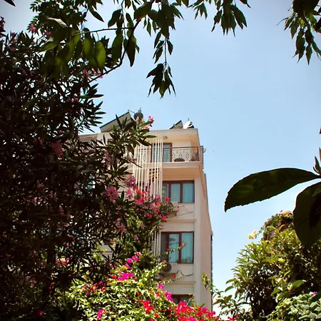 Patron Hotel-2