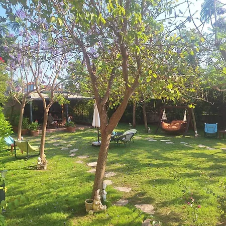Michelangelo Boutique Hotel Dalyan-3