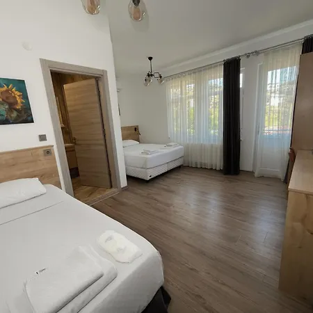 Parli Hotel-2