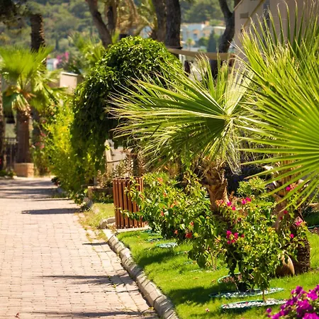 Blue Dreams Resort Bodrum-2