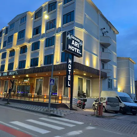 Afyon Grand Arı Hotel-3