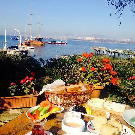 Tuzla Yacht Club-2