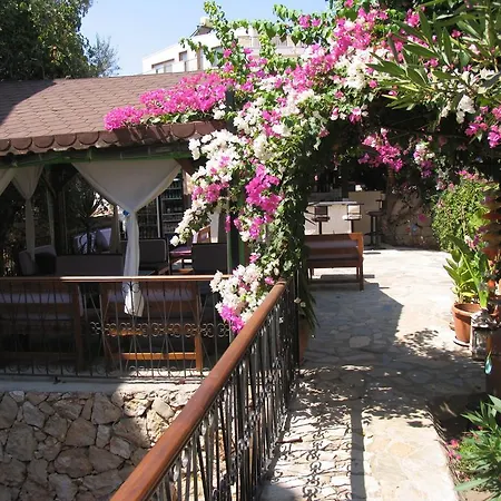 Pasha Suites-3