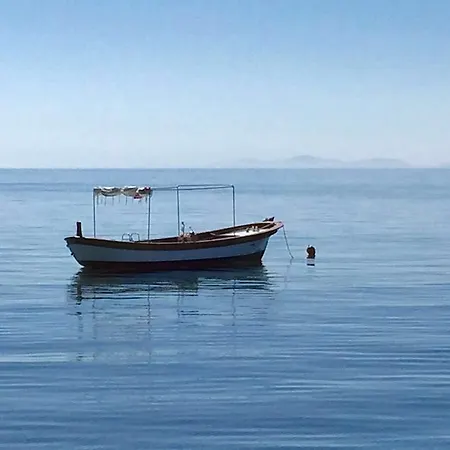 Idasos Tasodalar-2