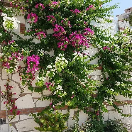 Hotel Doğa Çeşme-3