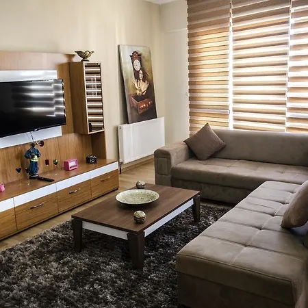 Timucin Suite-2