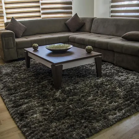 Timucin Suite-3