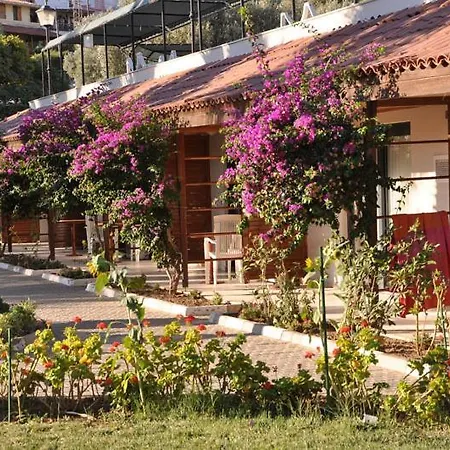 Medis Resort Hotel Cesme-2