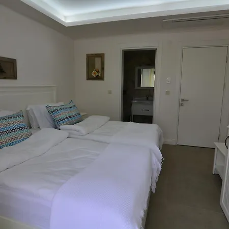 Dalyan Risus Suite-3