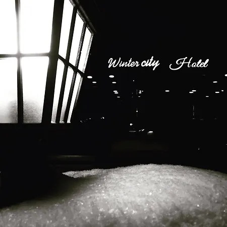 Winter City Hotel-3