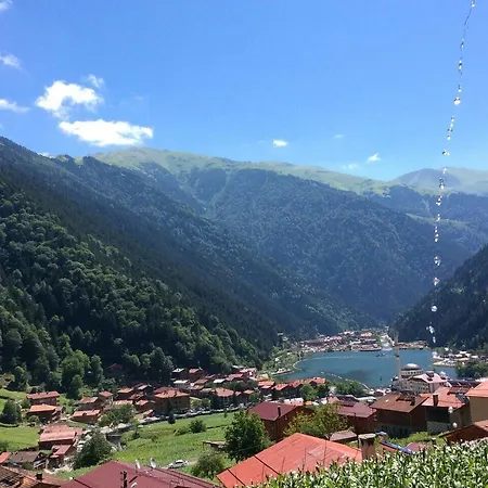 Kuzey Palace-3
