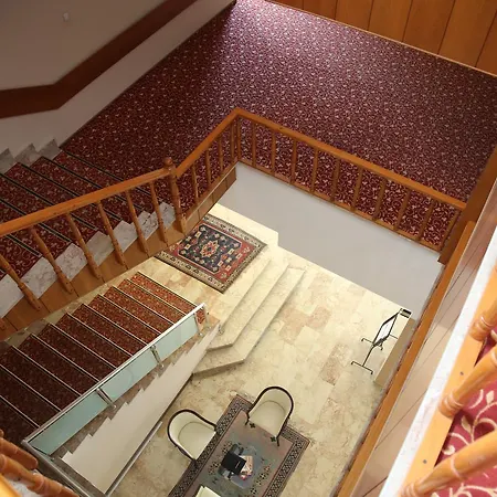 Omtel Otel-3