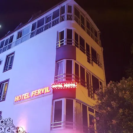 Feryil Li̇Man-2