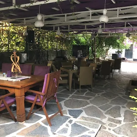 Pepecura Bodrum-2