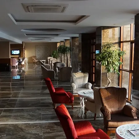 Mesa Hotel-2