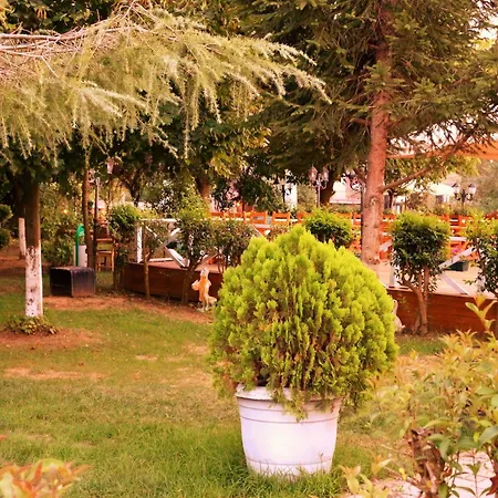 Club Grand Becassier-3
