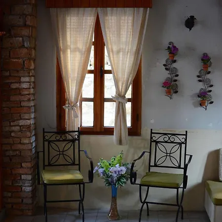 Otel Wood House-3